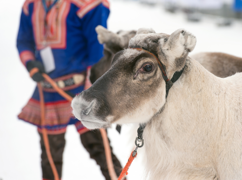 sami culture